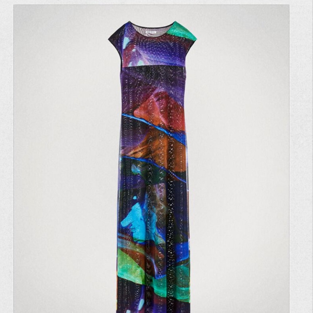 Zara tulle maxi dress